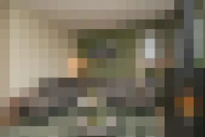 De Oostmaden 7 Hoogeveen thumbnail 5