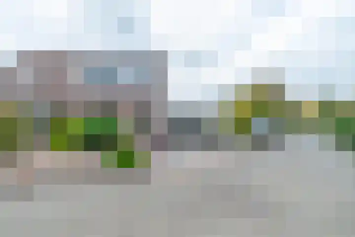 De Oostmaden 7 Hoogeveen thumbnail 54