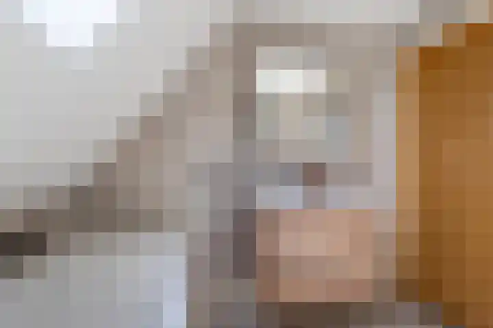 De Oper 15 Nes thumbnail 42