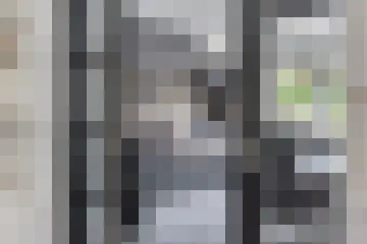 De Oper 15 Nes thumbnail 44