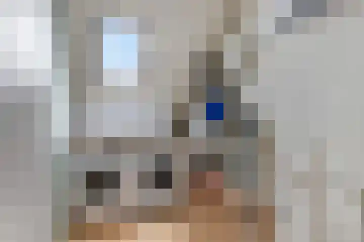 De Oper 15 Nes thumbnail 55