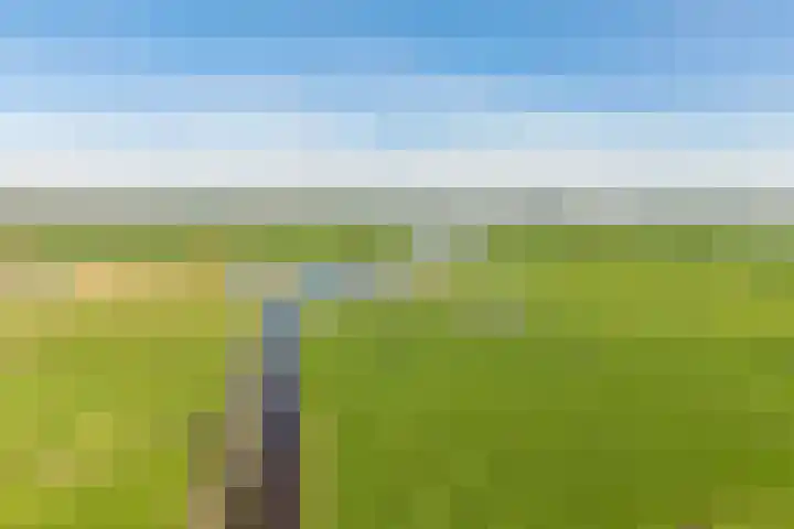 De Oper 15 Nes thumbnail 72