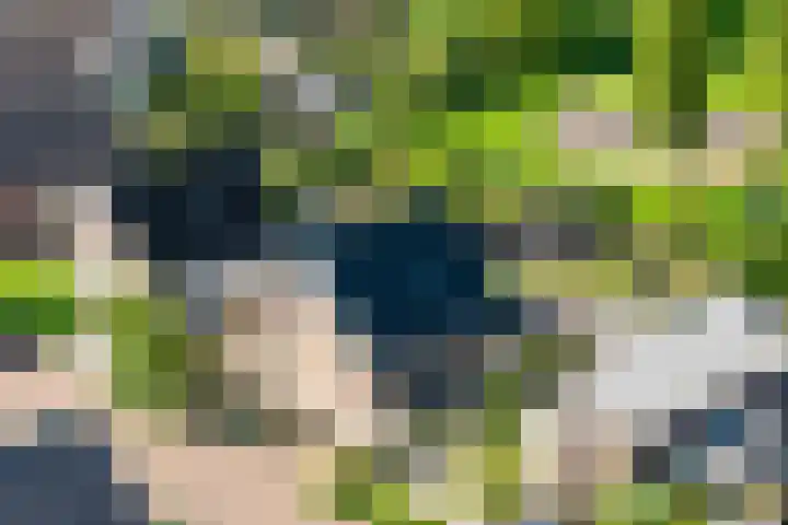 De Oper 15 Nes thumbnail 75