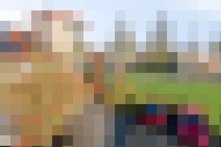 De Opera 2 Kampen thumbnail 10