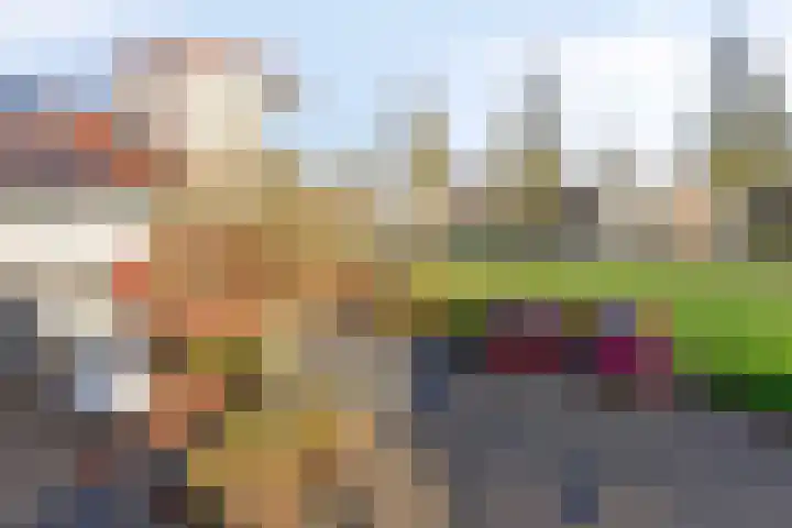 De Opera 2 Kampen thumbnail 11