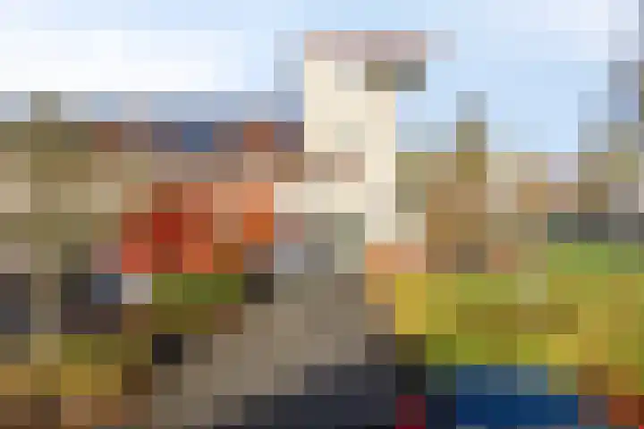 De Opera 2 Kampen thumbnail 12
