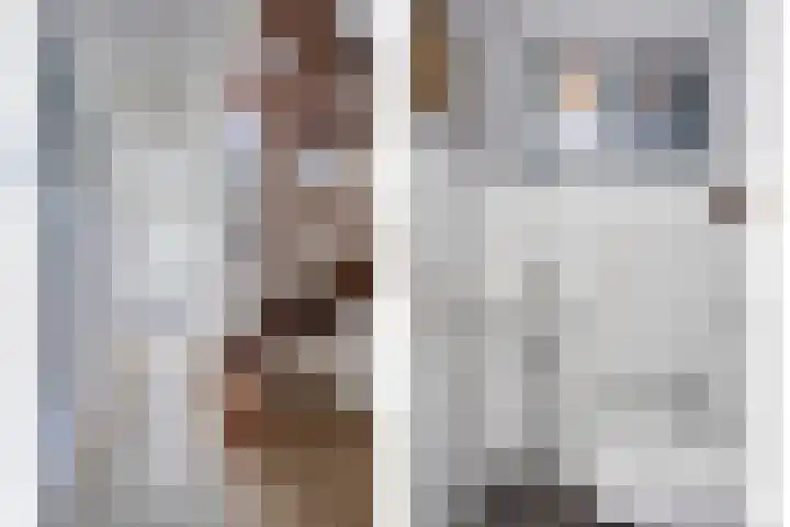 De Opera 2 Kampen thumbnail 19