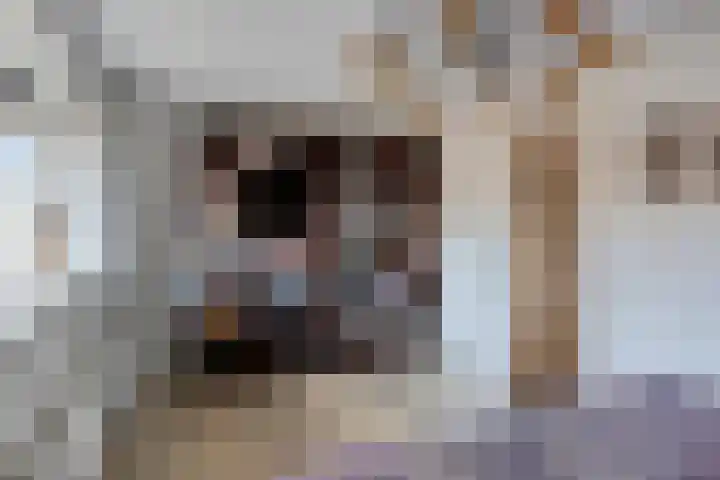 De Opera 2 Kampen thumbnail 40