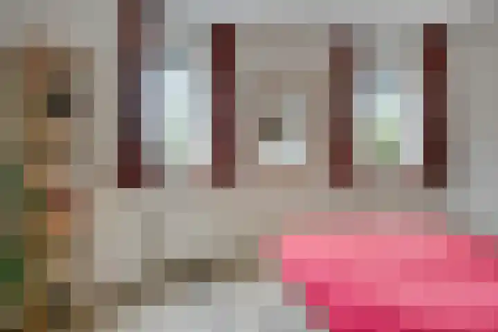 De Opera 2 Kampen thumbnail 45