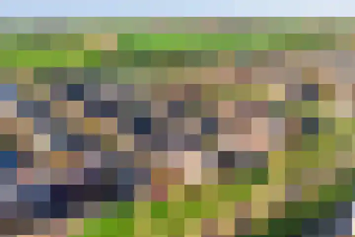 De Opera 2 Kampen thumbnail 7