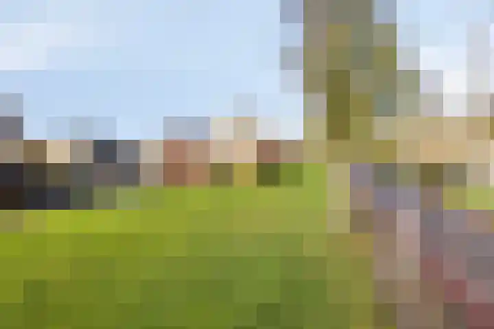 De Opera 2 Kampen thumbnail 70