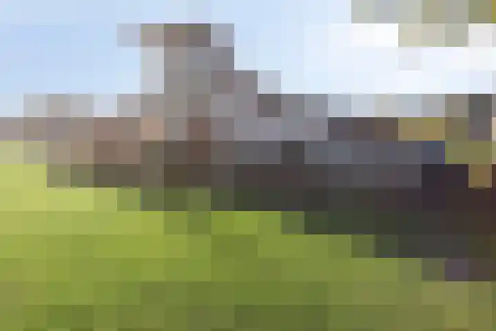 De Opera 2 Kampen thumbnail 8