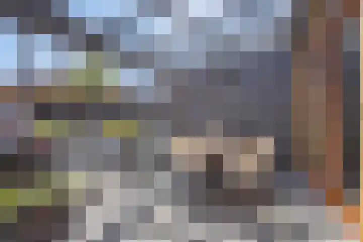 De Opera 35 Kampen thumbnail 12