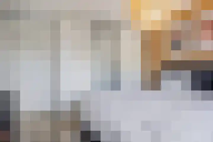 De Opera 35 Kampen thumbnail 20