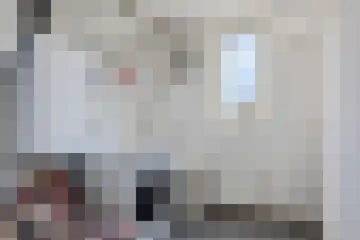 De Opera 35 Kampen thumbnail 26