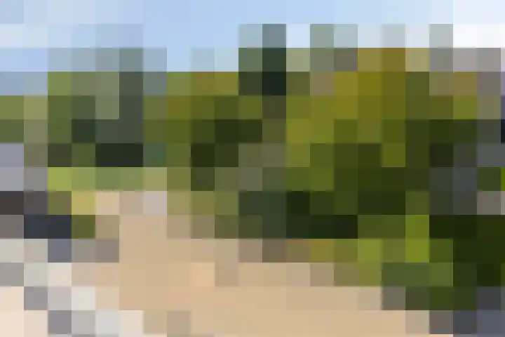 De Opera 35 Kampen thumbnail 30