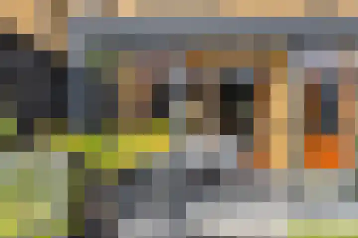 De Opera 35 Kampen thumbnail 34