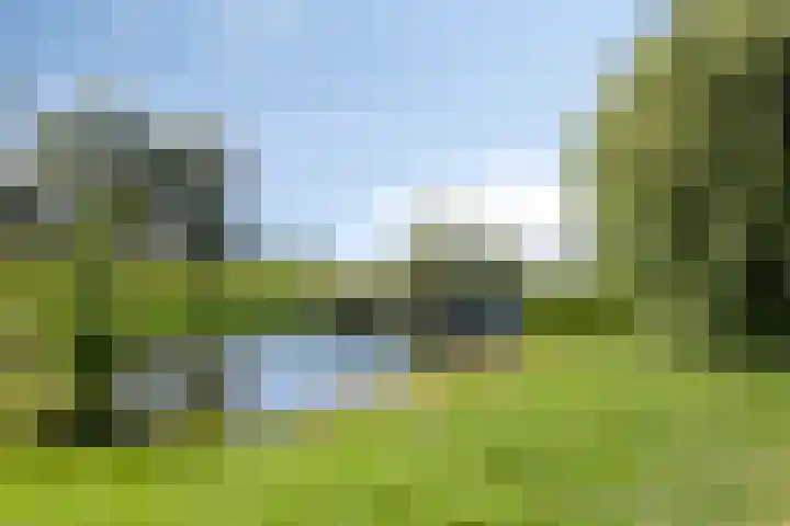 De Opera 35 Kampen thumbnail 36