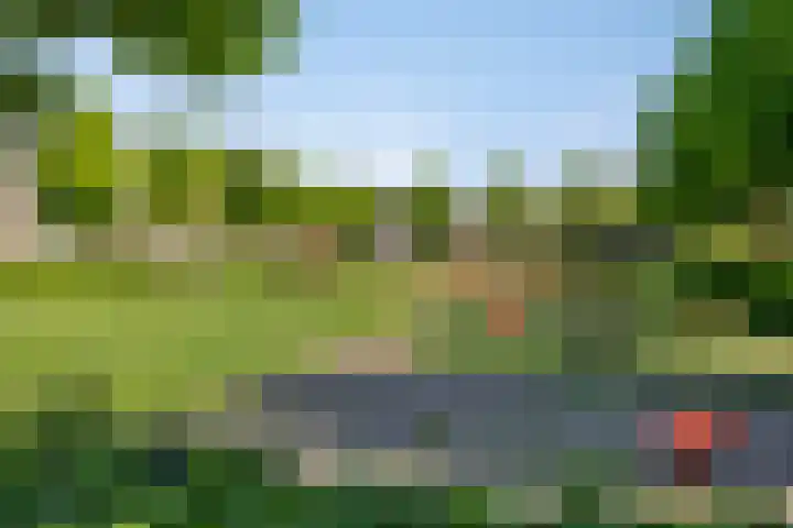 De Opera 35 Kampen thumbnail 37