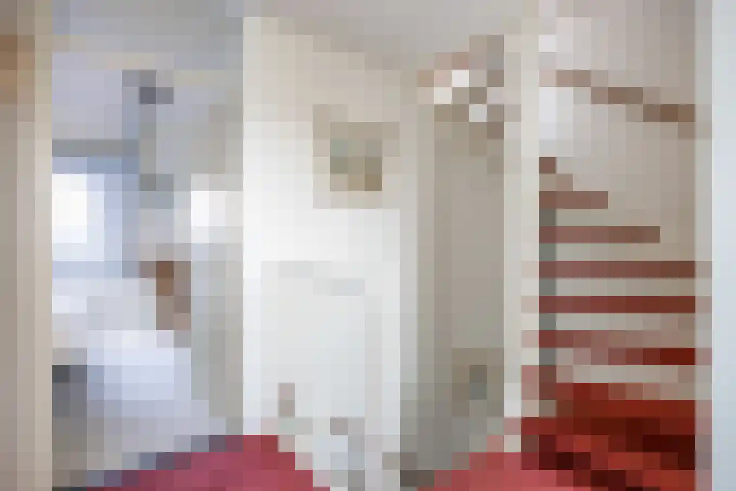 De Oplang 14 Zuidlaren thumbnail 34