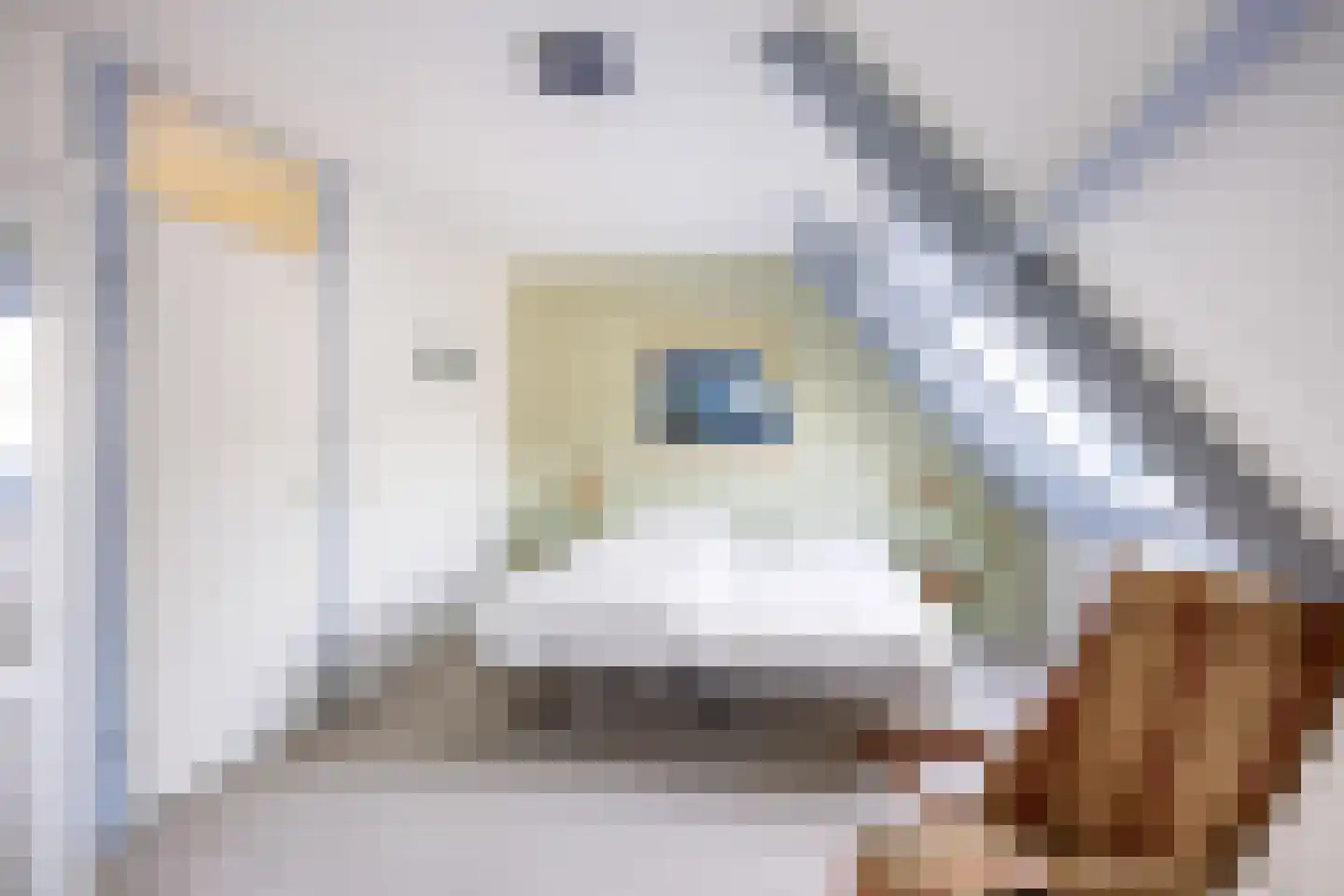 De Oplang 14 Zuidlaren thumbnail 38