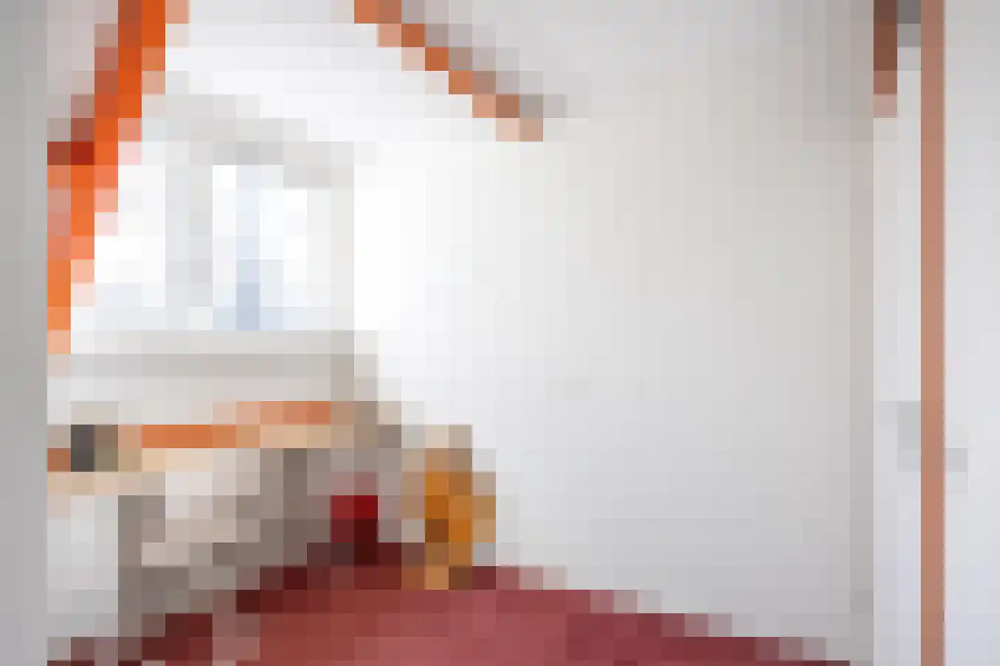 De Oplang 14 Zuidlaren thumbnail 45