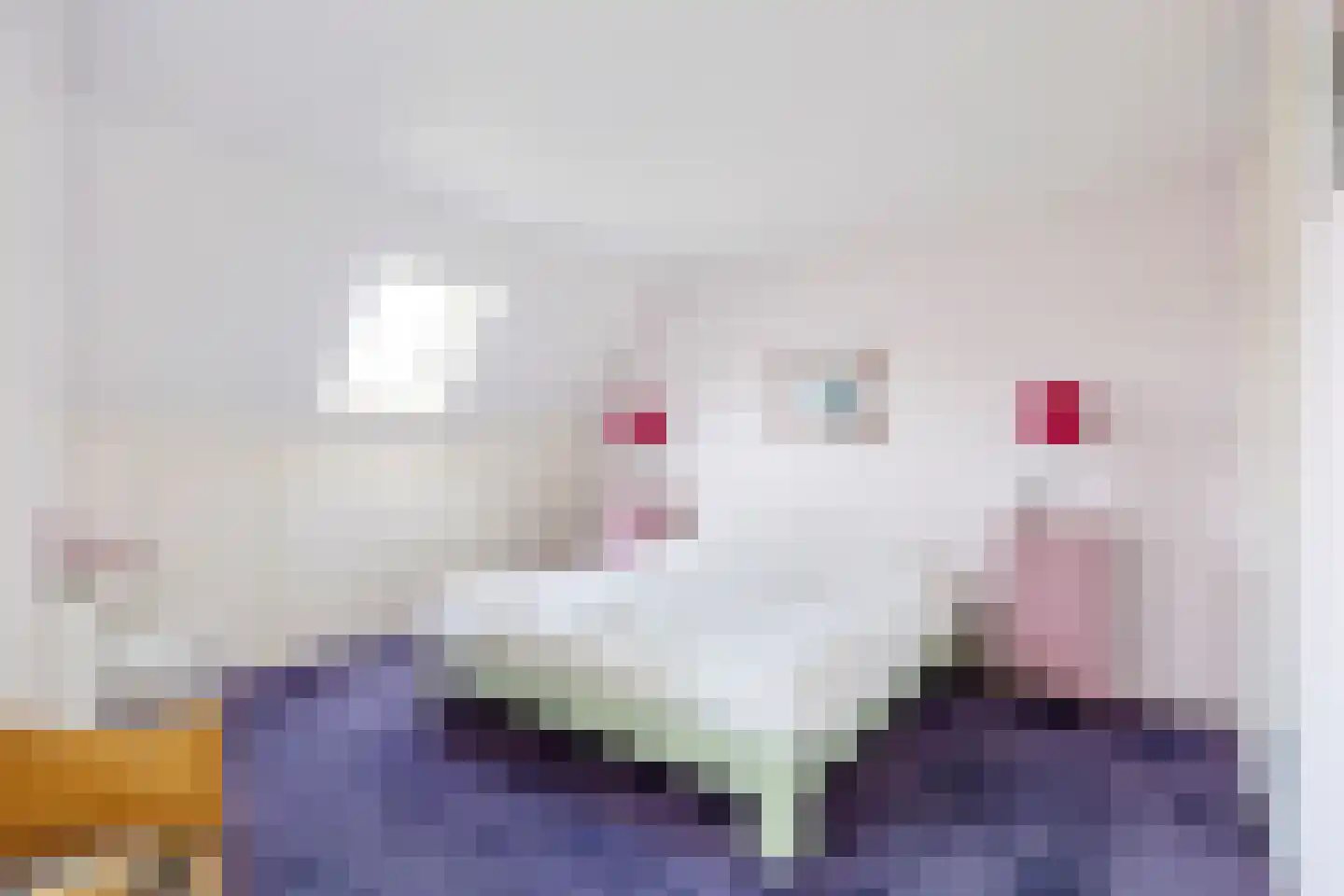 De Oplang 14 Zuidlaren thumbnail 48