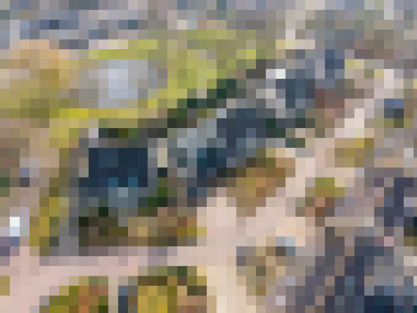 De Oplang 14 Zuidlaren thumbnail 5
