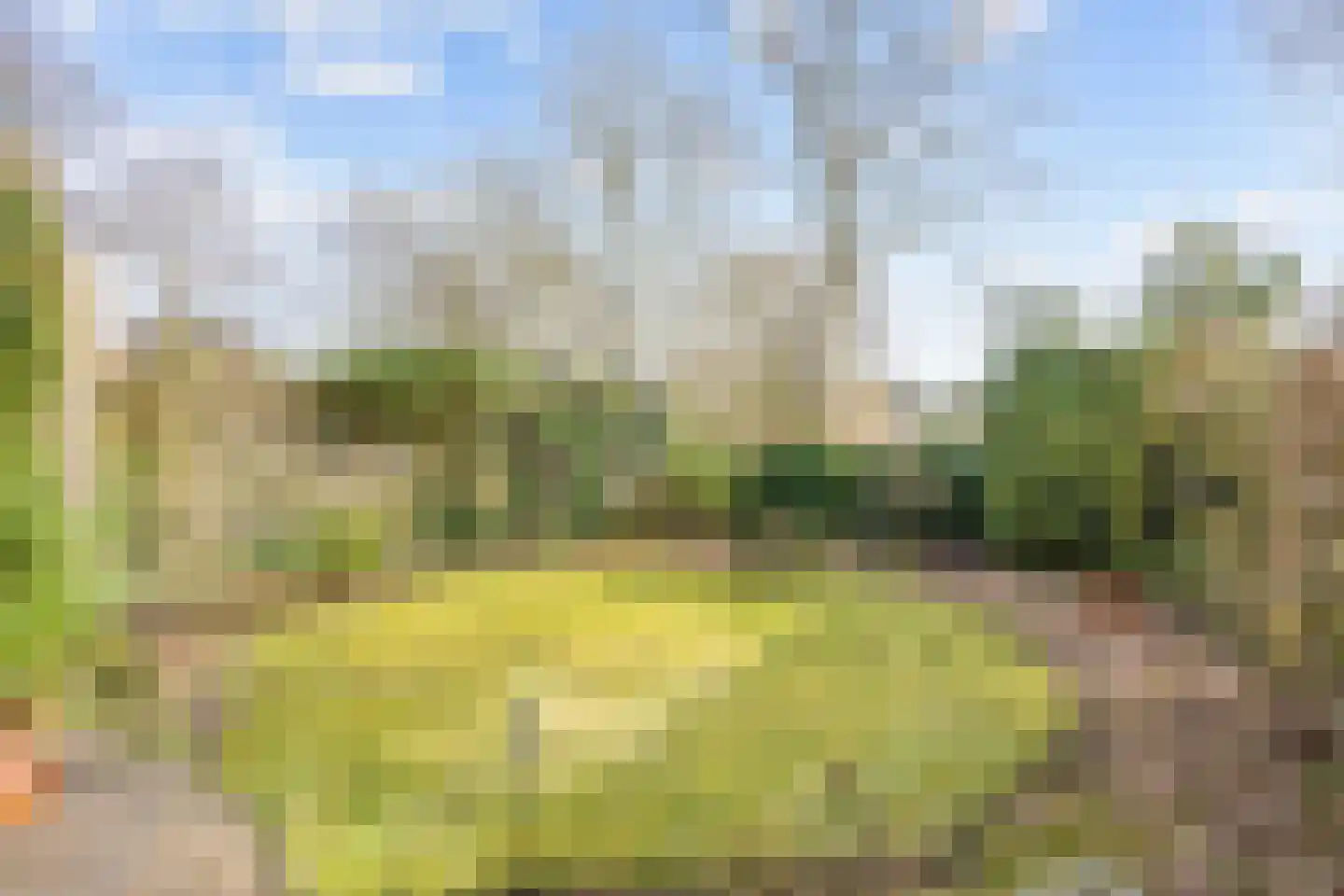 De Oplang 14 Zuidlaren thumbnail 59