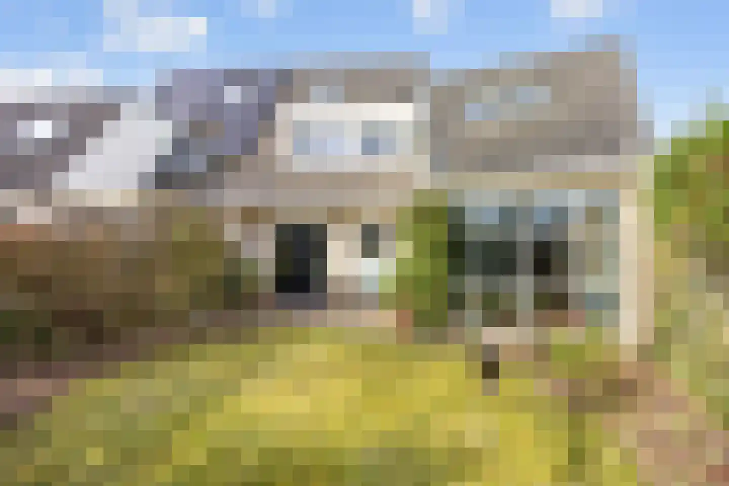 De Oplang 14 Zuidlaren thumbnail 60