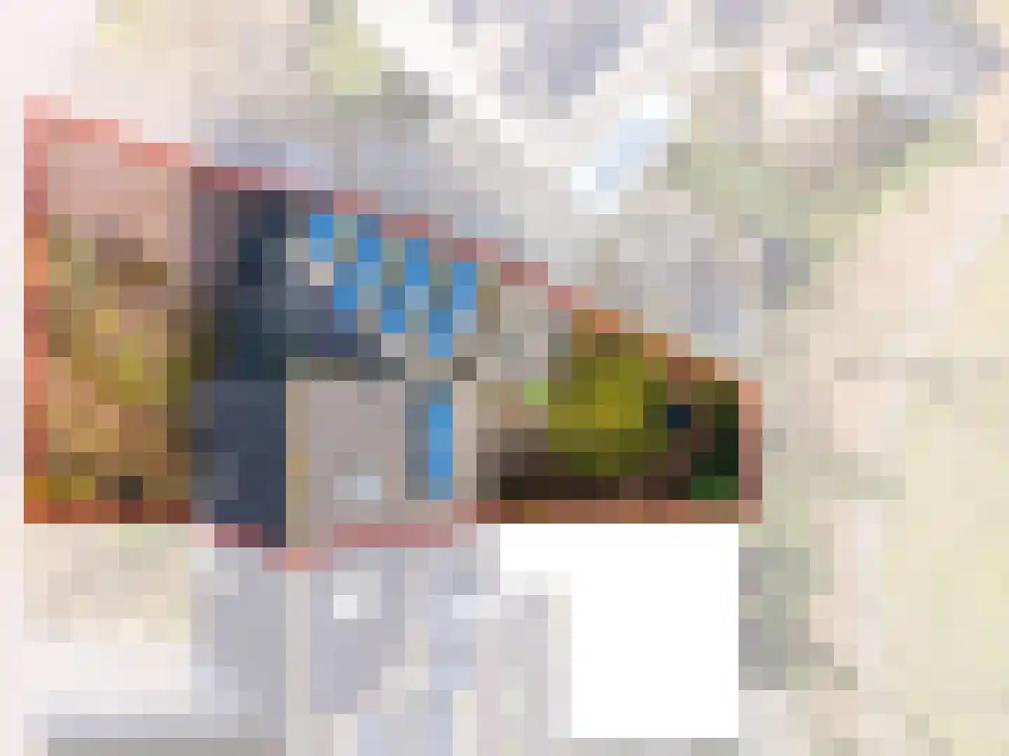 De Oplang 14 Zuidlaren thumbnail 63