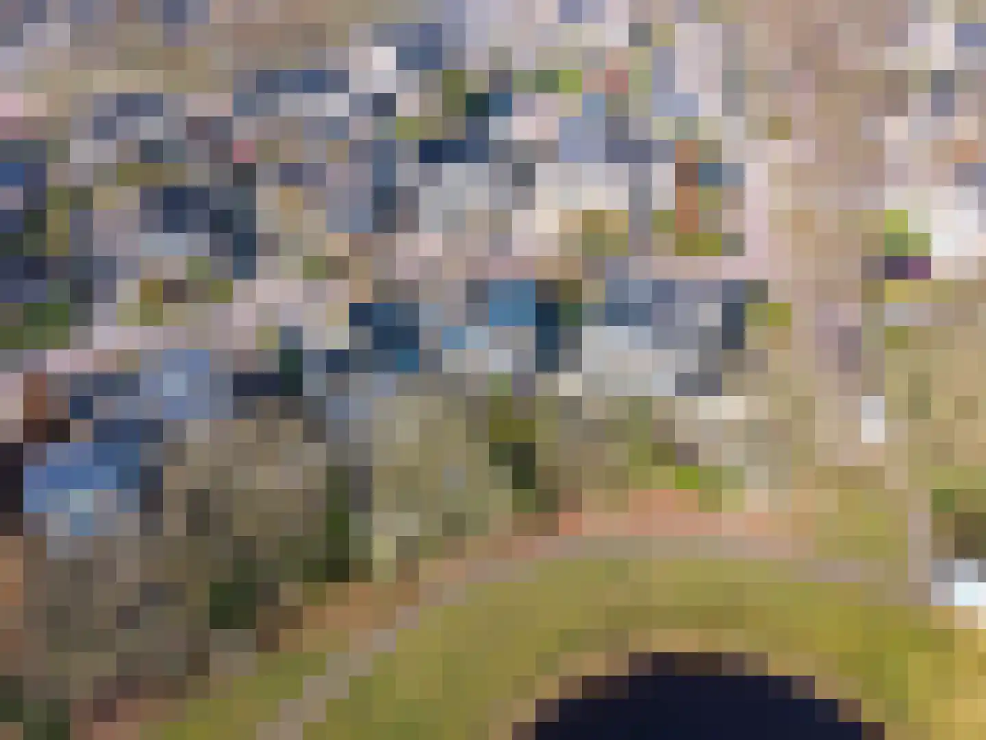 De Oplang 14 Zuidlaren thumbnail 66