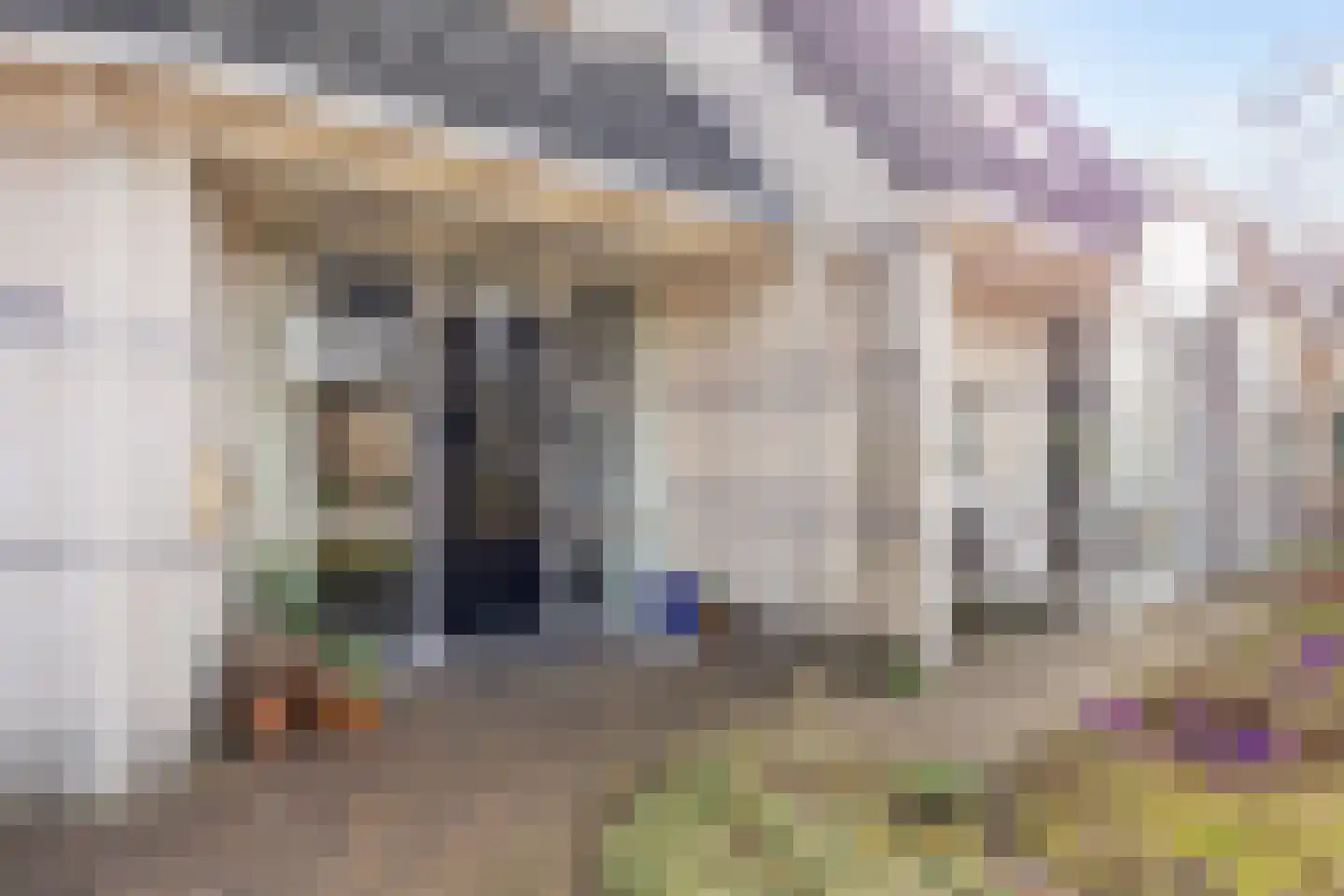 De Oplang 14 Zuidlaren thumbnail 9