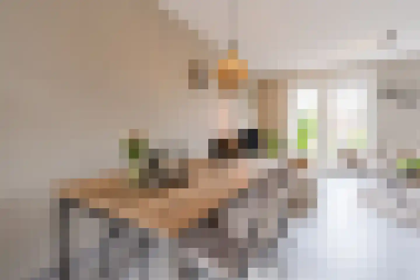 De Oplegger 14 Hollandscheveld thumbnail 10