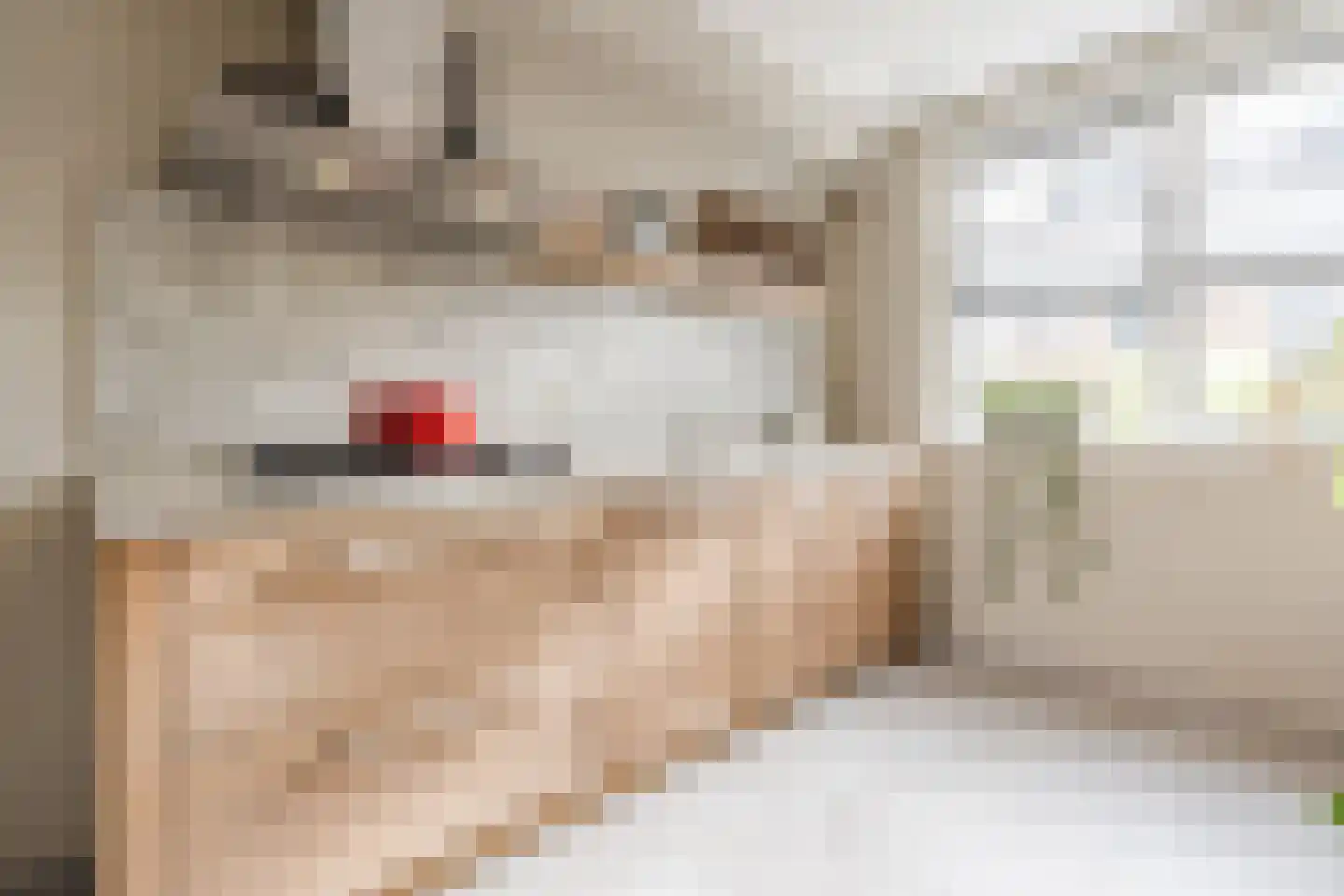 De Oplegger 14 Hollandscheveld thumbnail 11