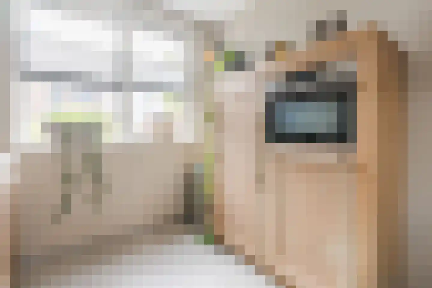 De Oplegger 14 Hollandscheveld thumbnail 12