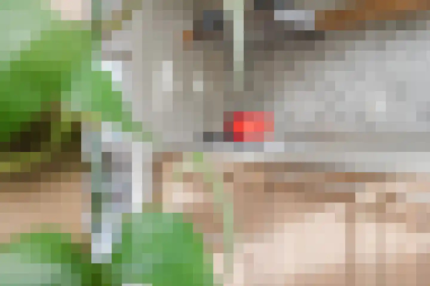 De Oplegger 14 Hollandscheveld thumbnail 13