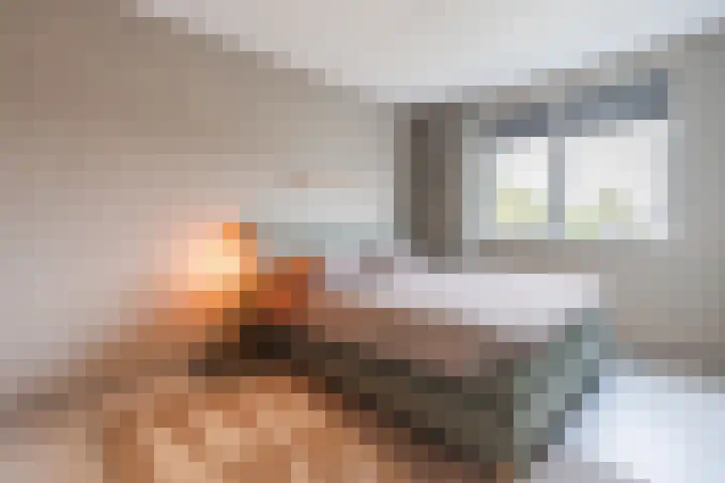 De Oplegger 14 Hollandscheveld thumbnail 20