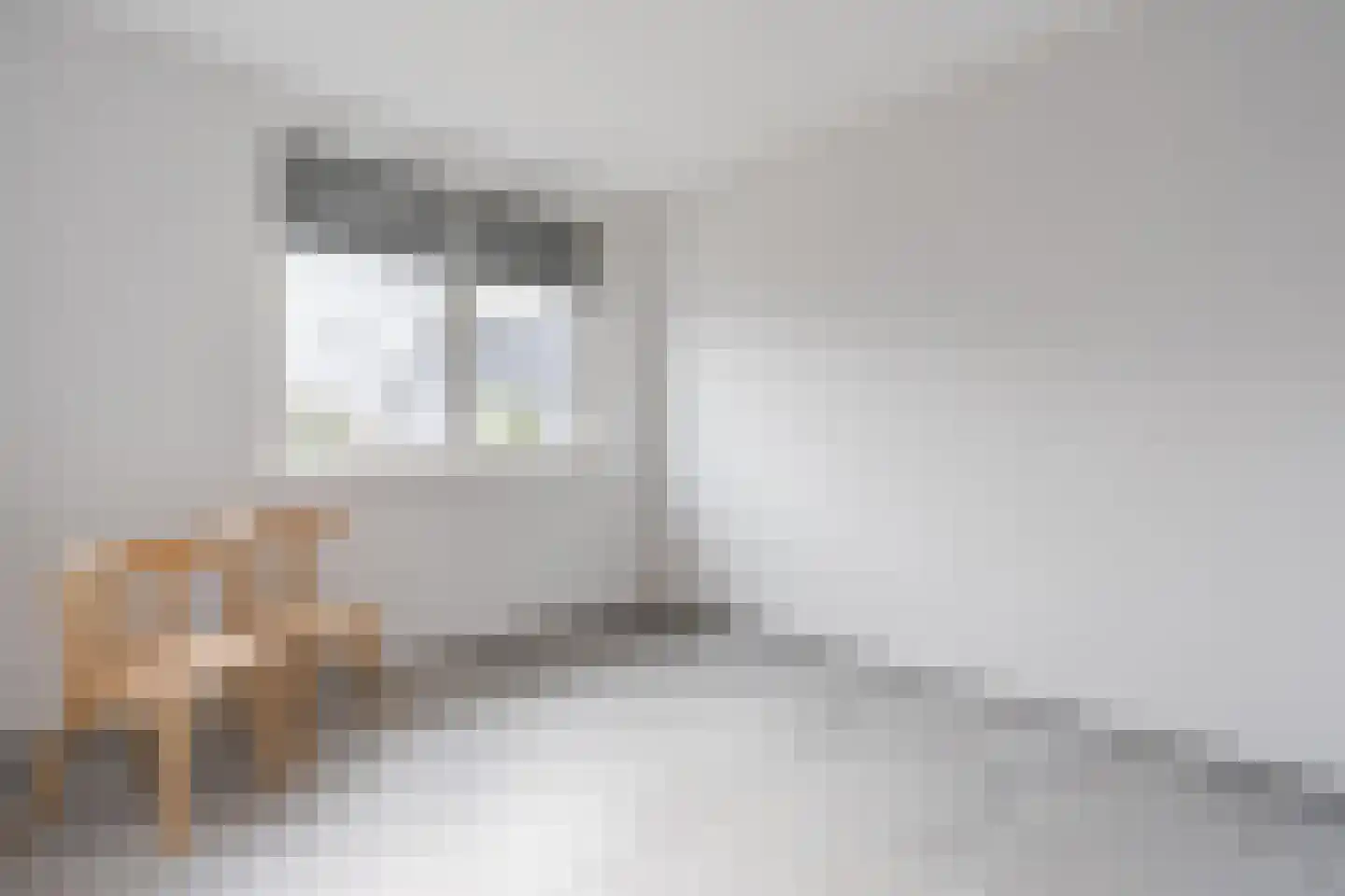 De Oplegger 14 Hollandscheveld thumbnail 25