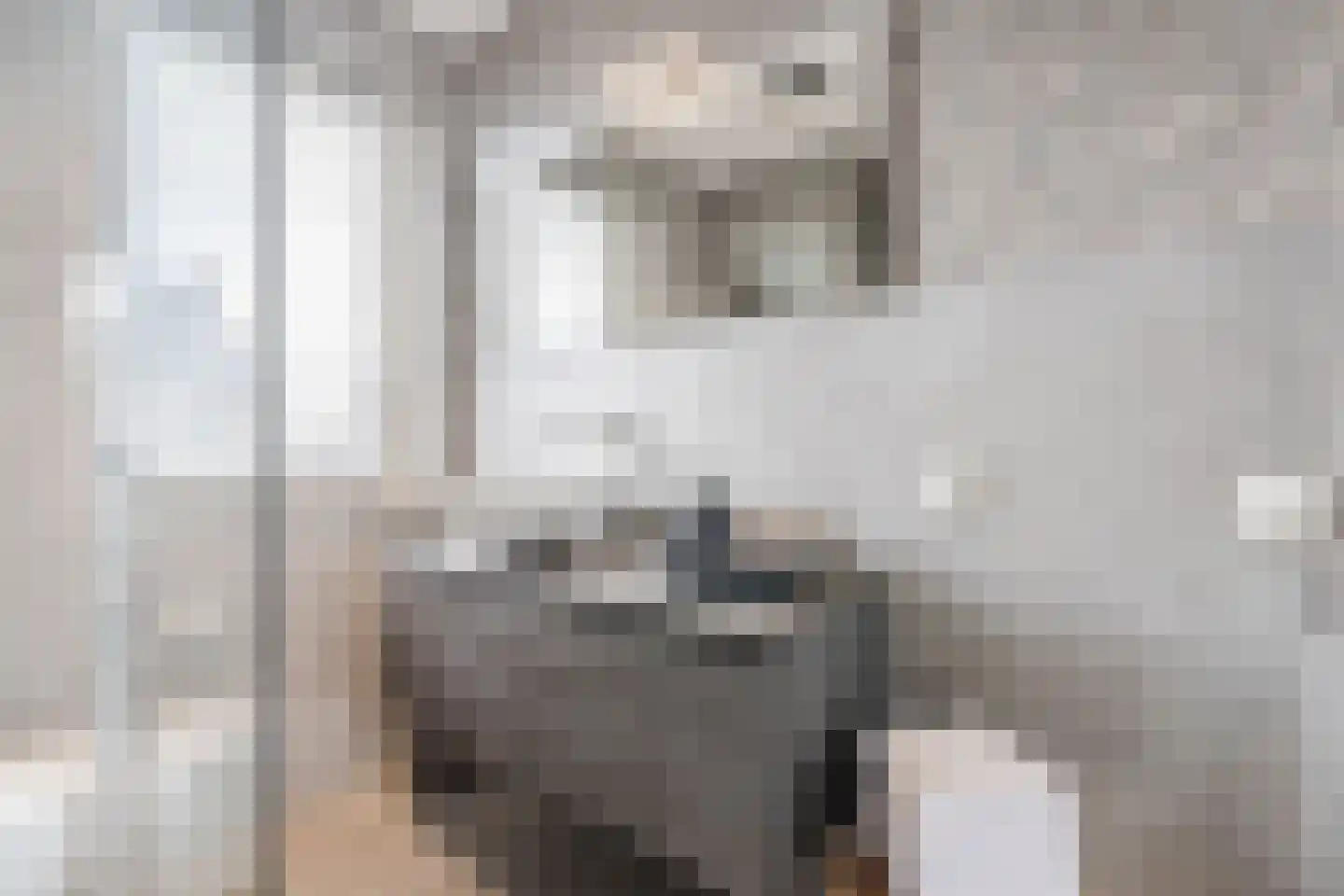 De Oplegger 14 Hollandscheveld thumbnail 28
