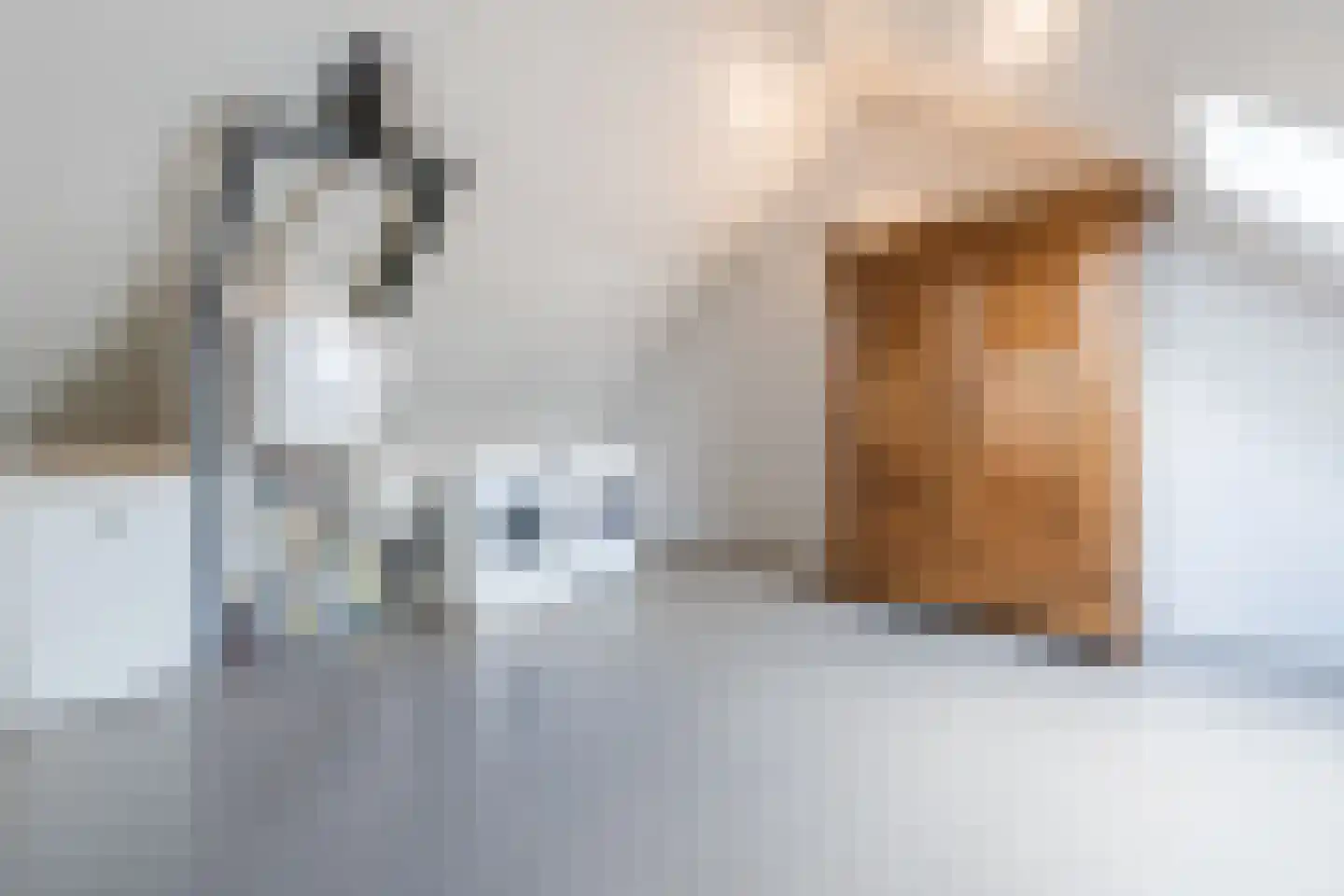 De Oplegger 14 Hollandscheveld thumbnail 33