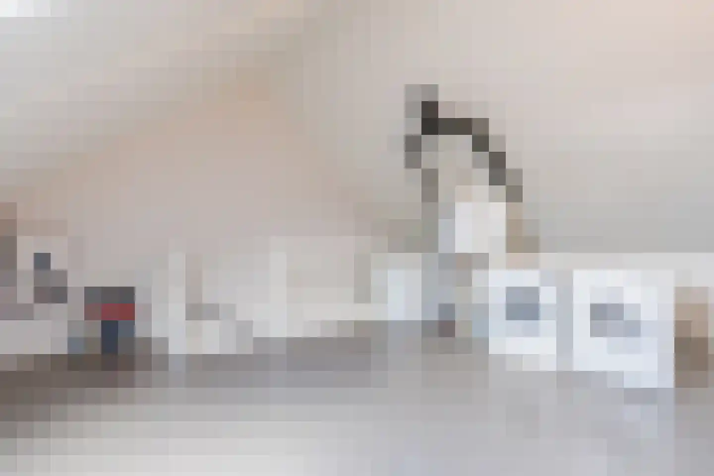 De Oplegger 14 Hollandscheveld thumbnail 35