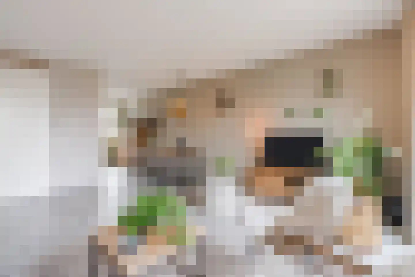 De Oplegger 14 Hollandscheveld thumbnail 7