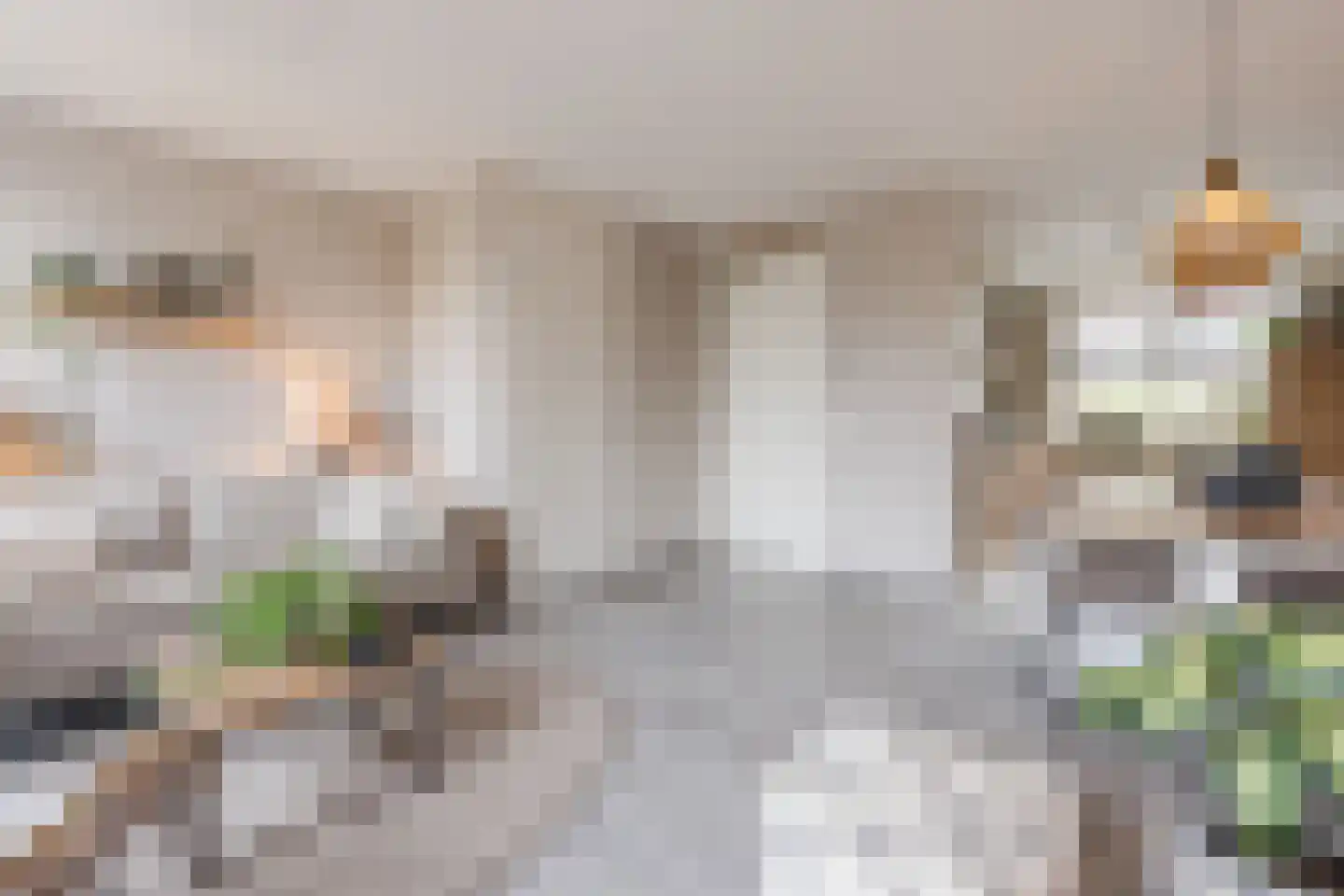 De Oplegger 14 Hollandscheveld thumbnail 8