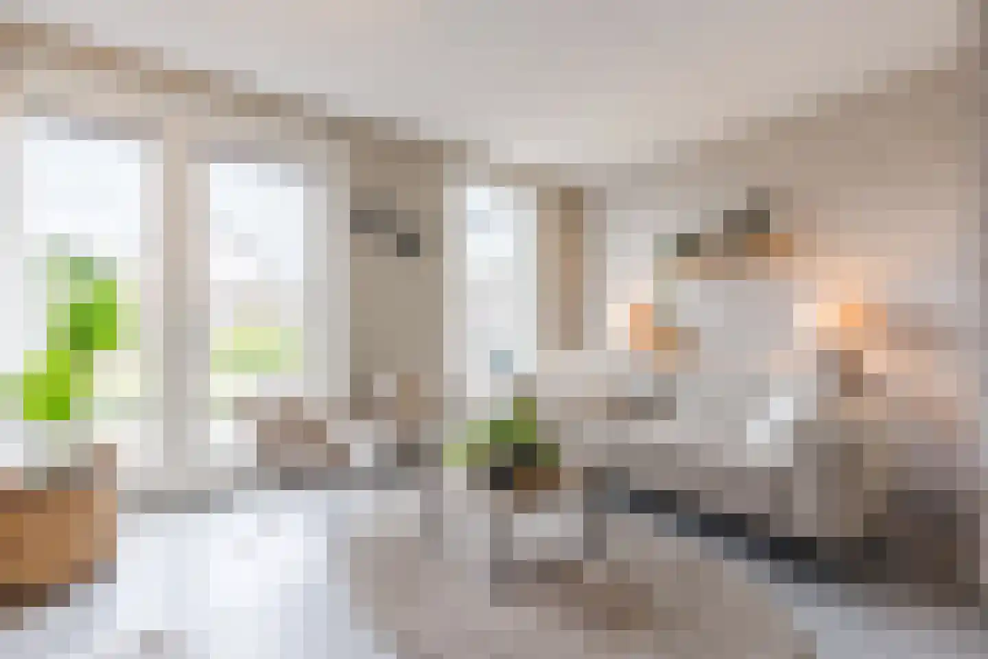 De Oplegger 14 Hollandscheveld thumbnail 9
