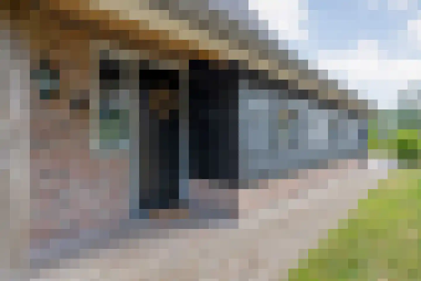 De Oplegger 14 Rijssen thumbnail 17
