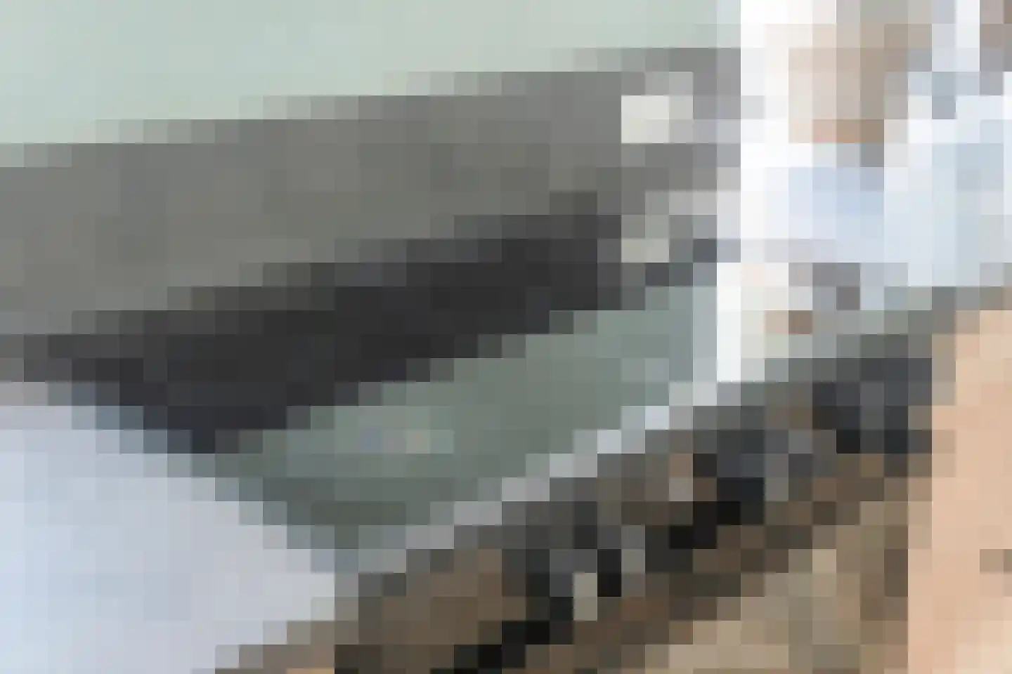 De Oplegger 14 Rijssen thumbnail 33
