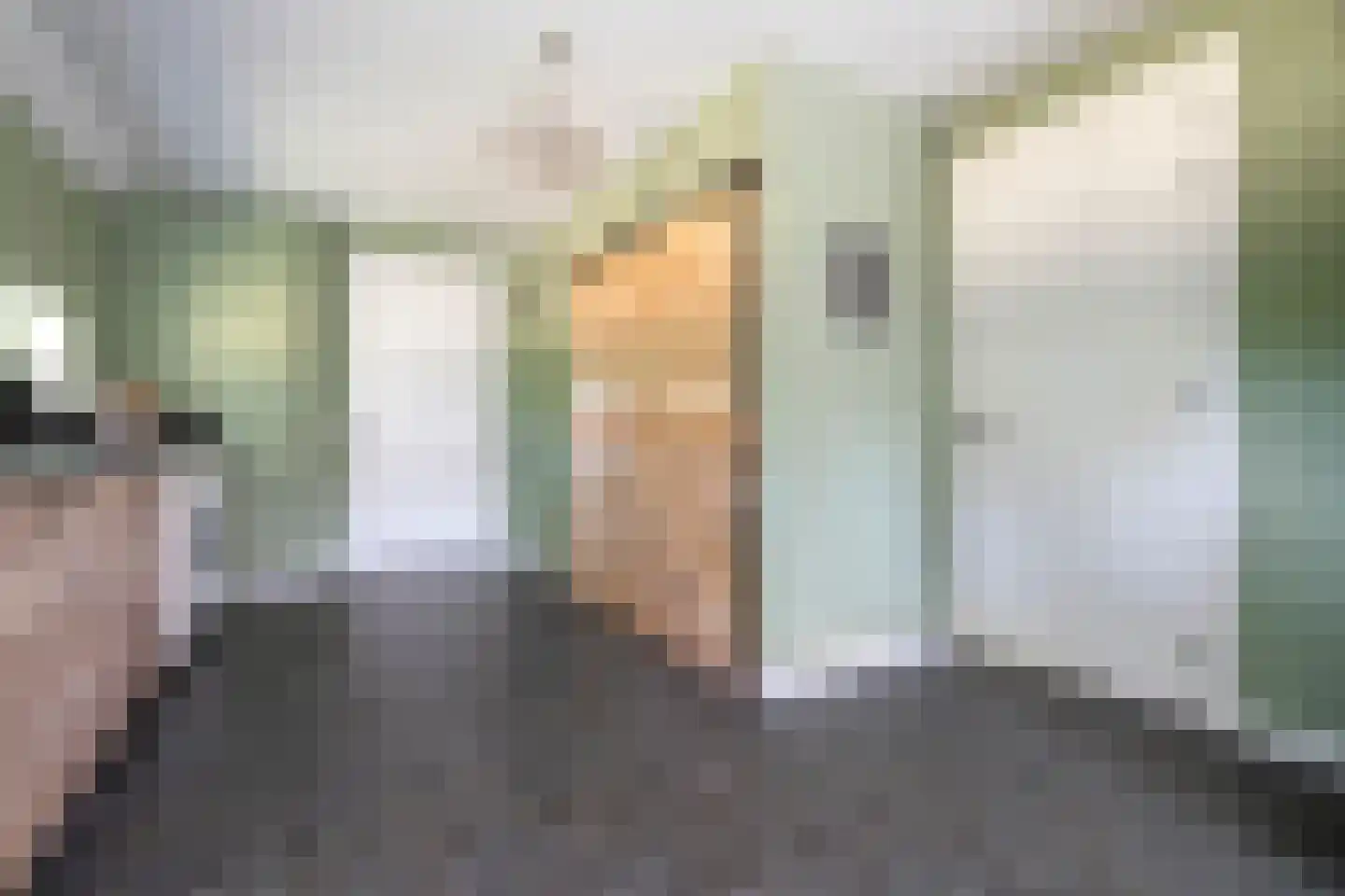 De Oplegger 14 Rijssen thumbnail 37