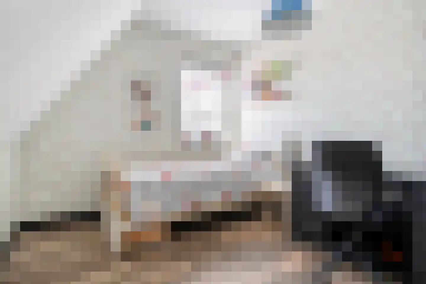 De Oplegger 14 Rijssen thumbnail 50