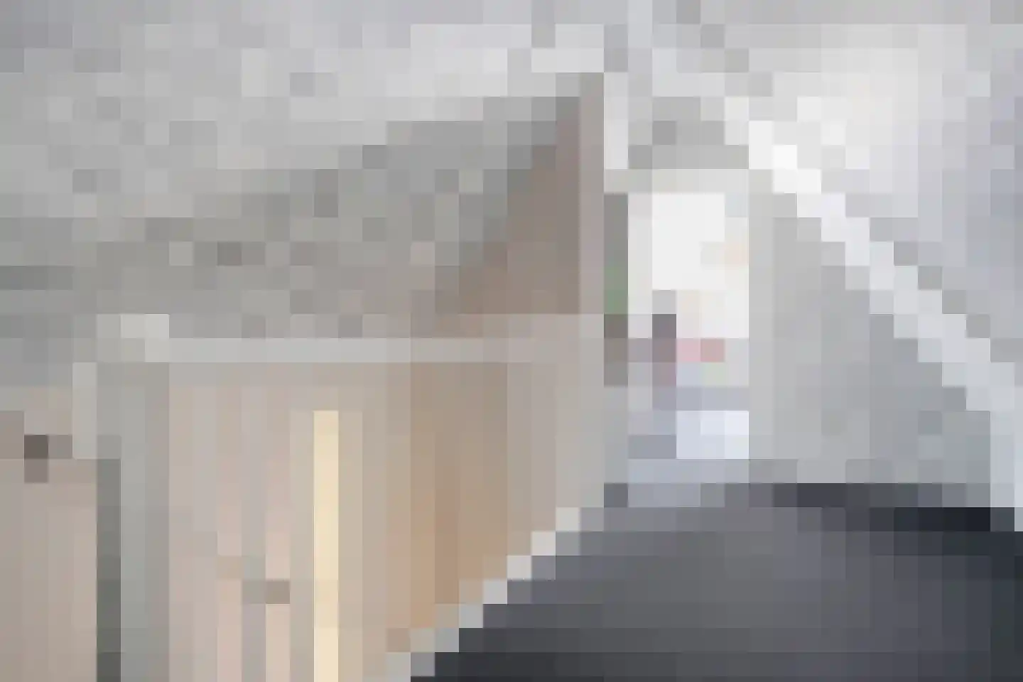 De Oplegger 14 Rijssen thumbnail 62